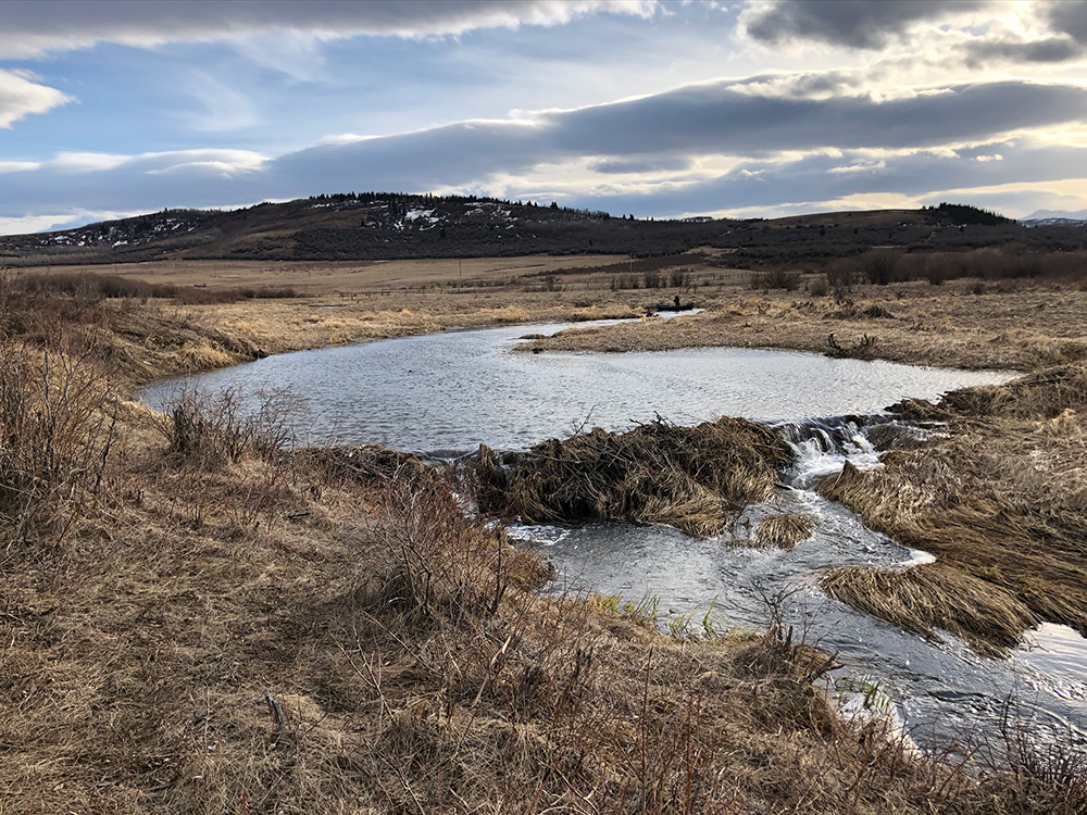 Mt Sentinel Ranch Mt Sentinel Ranch