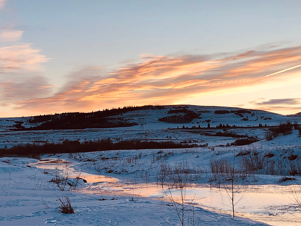 Mt Sentinal Ranch Mt Sentinal Ranch